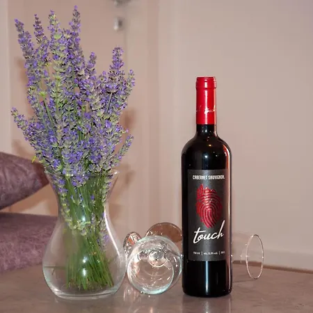 Kvarner Hill Appartamento