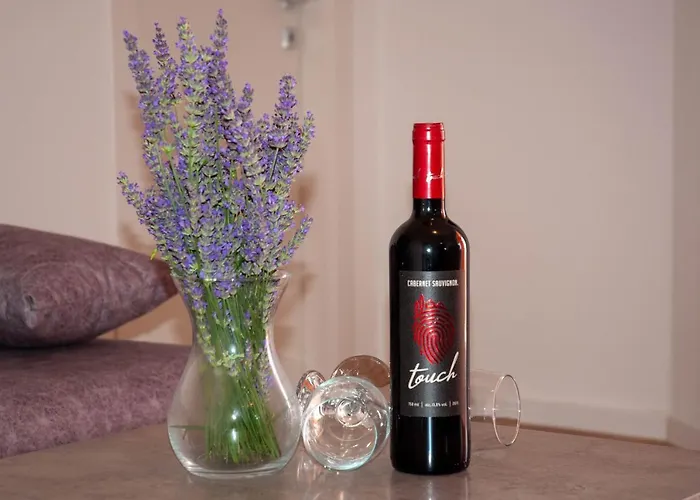 Kvarner Hill Apartamento